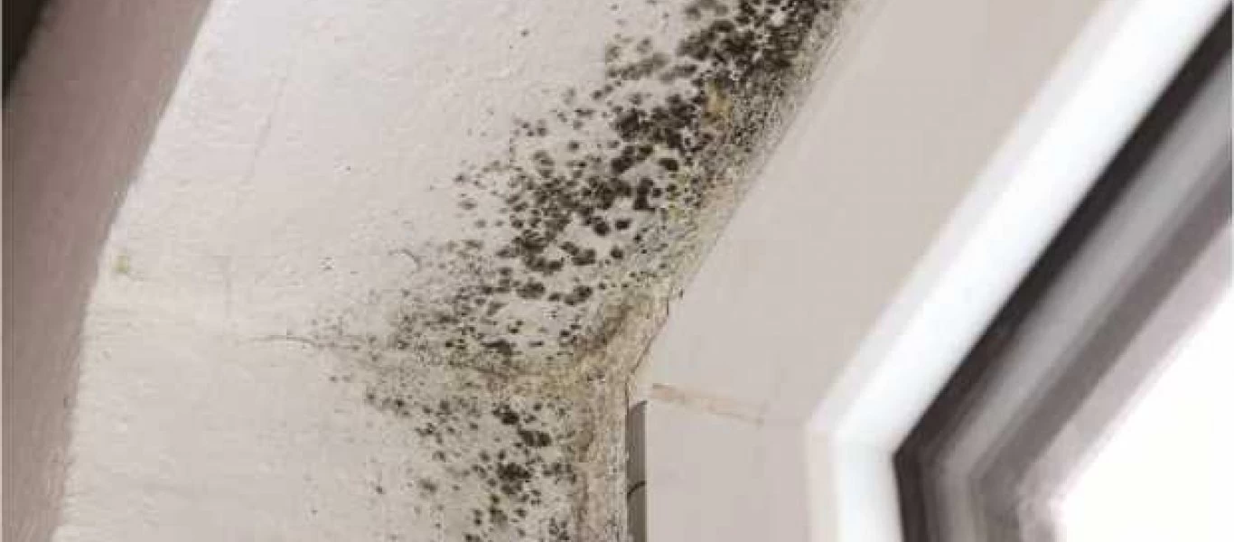 Το εύκολο και γρήγορο κόλπο για να «εξαφανίσετε» τη μούχλα από το σπίτι σας